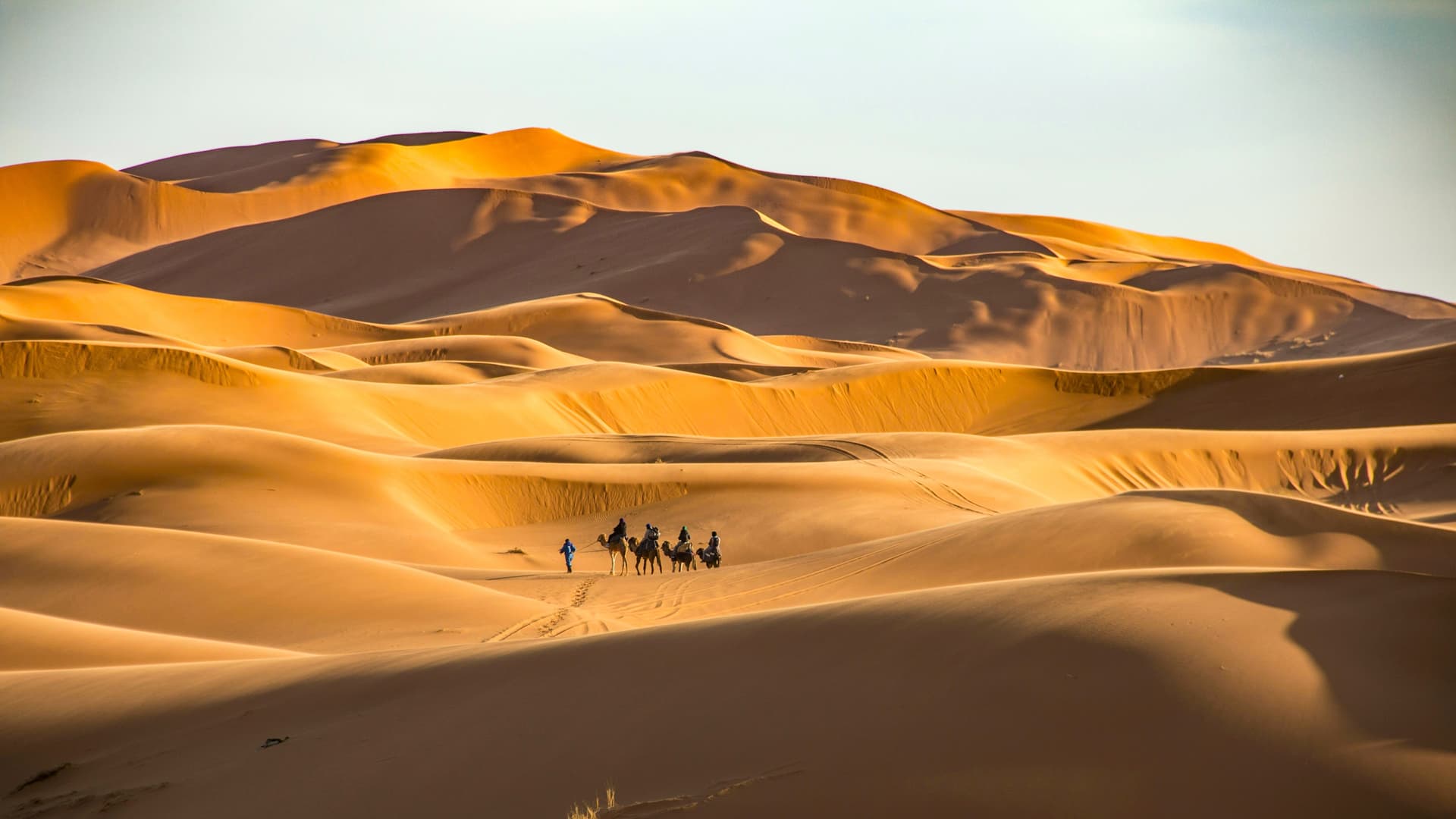 Sahara