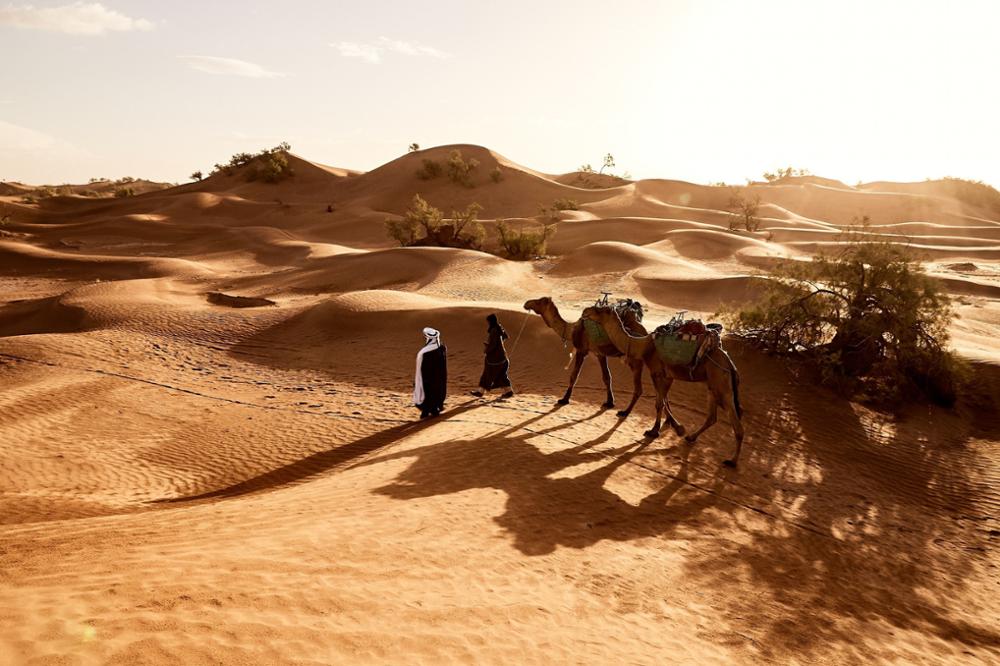 Où faire une randonnée à dos de dromadaire ou de chameau au Maroc ?