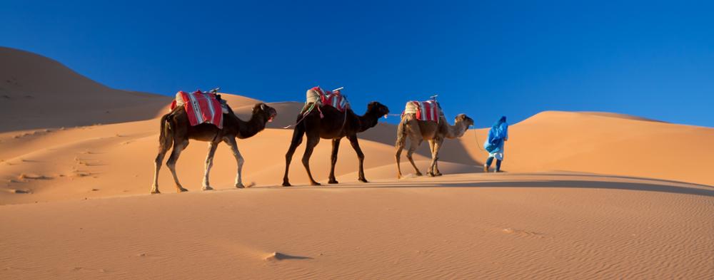 Où faire une randonnée à dos de dromadaire ou de chameau au Maroc ?