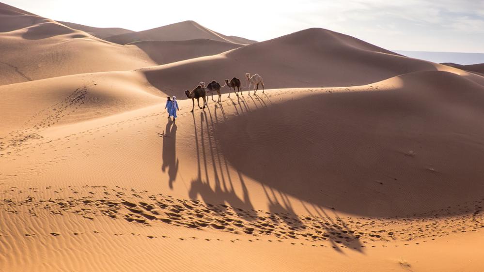 Les plus belles expériences à vivre dans le désert marocain