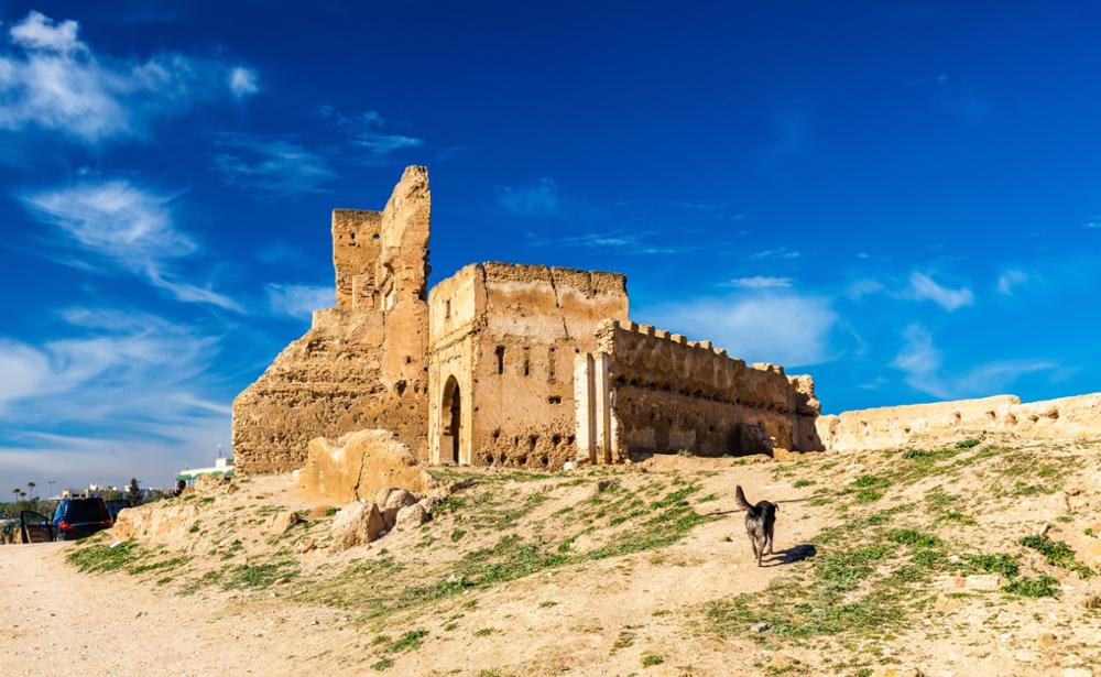 Visiter Fès : les incontournables de la capitale culturelle du Maroc 