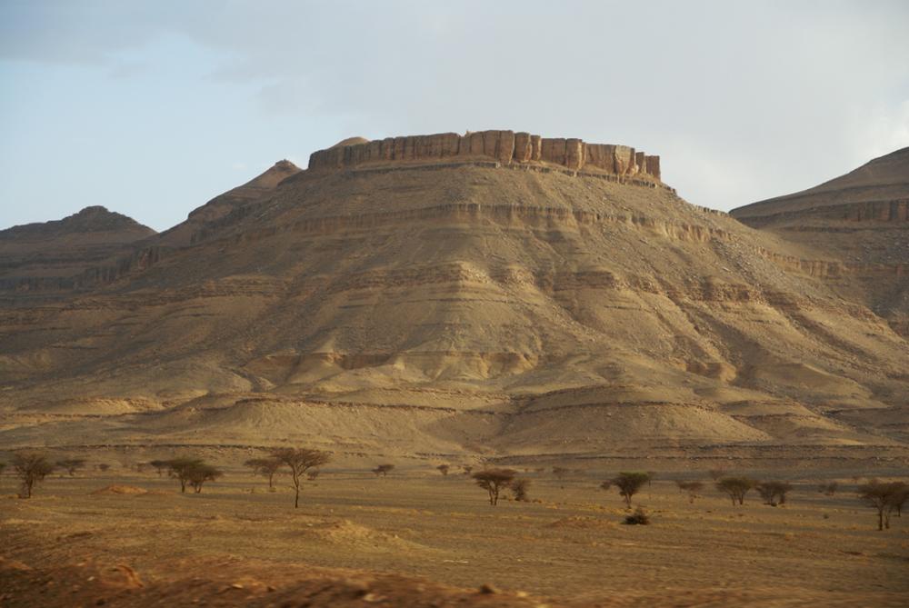 Où faire une randonnée à dos de dromadaire ou de chameau au Maroc ?